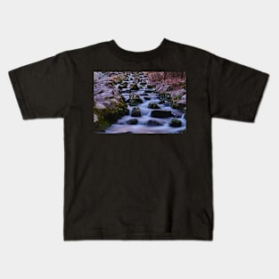 The bottom of the fish ladder Kids T-Shirt